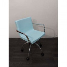 UnknownWieltjesBlauw_1